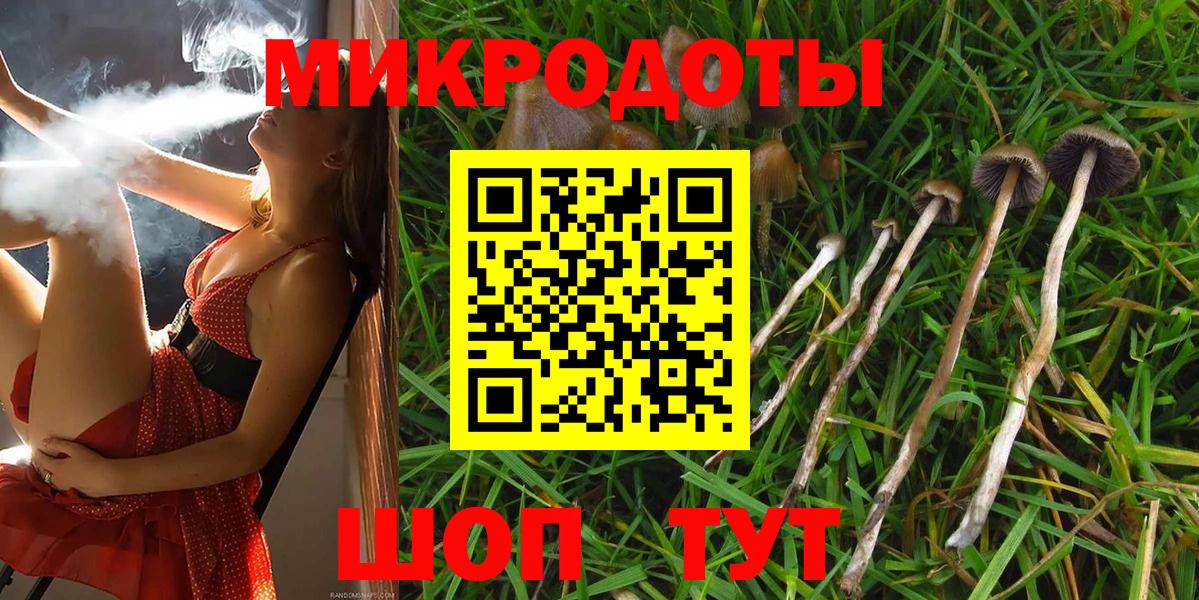где продают наркотики  Вход с VPN  Переславль-Залесский  Галлюциногенные грибы Psilocybe 